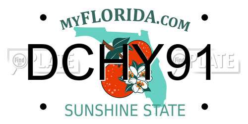 DCHY91 Florida License Plate