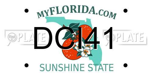 DCI41 Florida License Plate