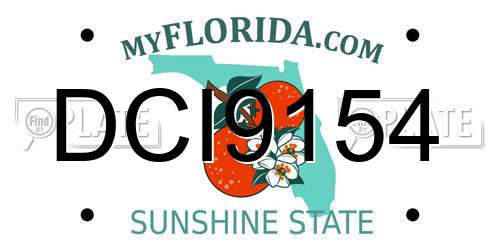 DCI9154 Florida License Plate