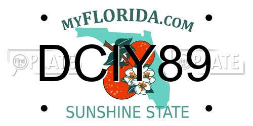 DCIY89 Florida License Plate