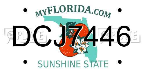 DCJ7446 Florida License Plate