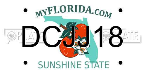 DCJJ18 Florida License Plate