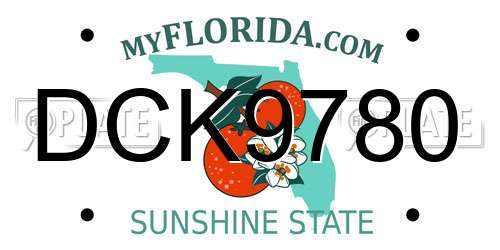 DCK9780 Florida License Plate