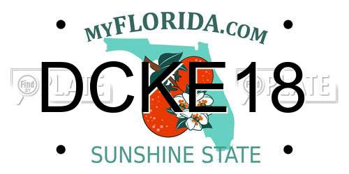 DCKE18 Florida License Plate