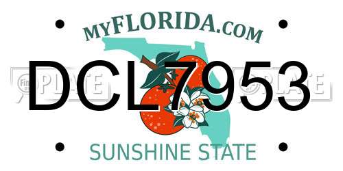 DCL7953 Florida License Plate