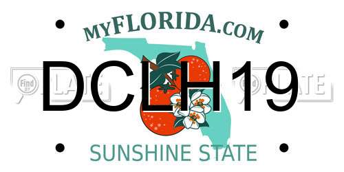 DCLH19 Florida License Plate