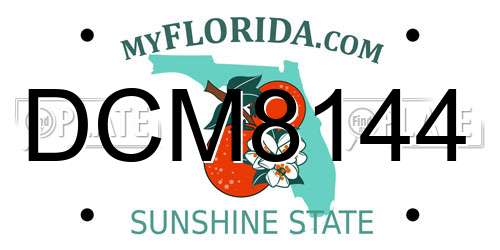 DCM8144 Florida License Plate