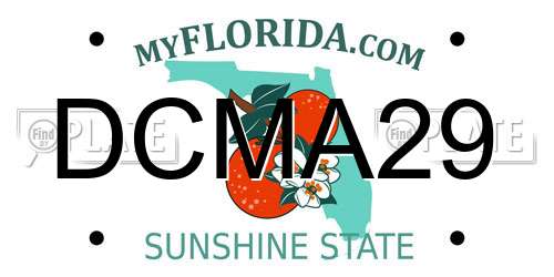 DCMA29 Florida License Plate