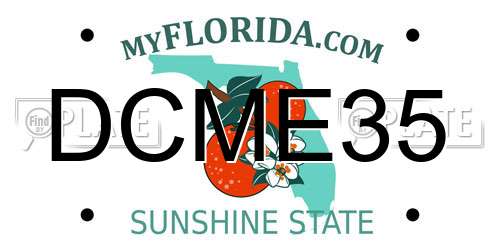 DCME35 Florida License Plate
