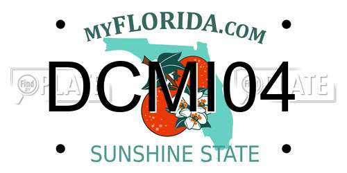DCMI04 Florida License Plate