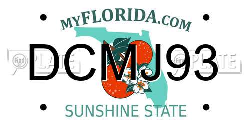 DCMJ93 Florida License Plate