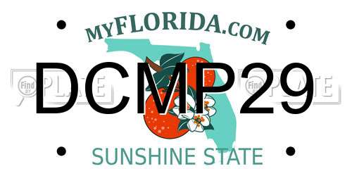 DCMP29 Florida License Plate