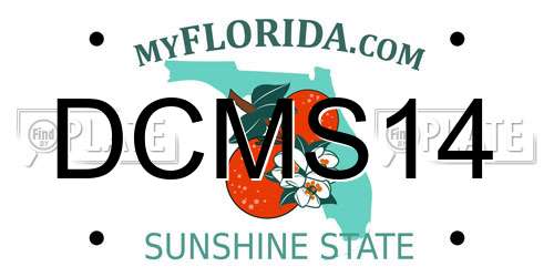 DCMS14 Florida License Plate