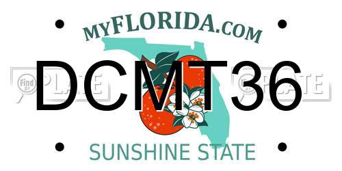 DCMT36 Florida License Plate