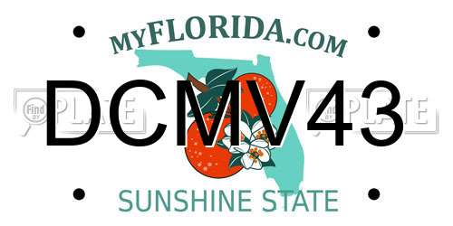 DCMV43 Florida License Plate