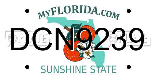 DCN9239 Florida License Plate