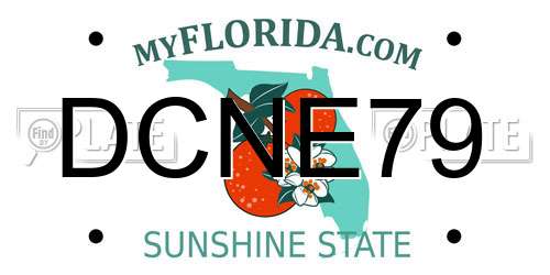DCNE79 Florida License Plate
