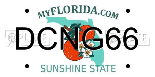 DCNG66 Florida License Plate