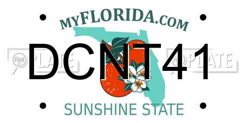 DCNT41 Florida License Plate