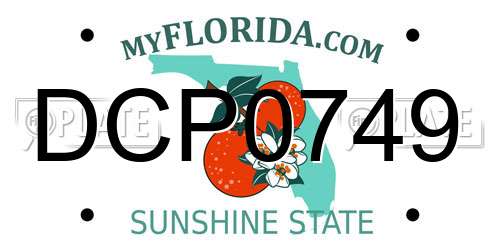 DCP0749 Florida License Plate