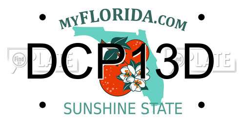 DCP13D Florida License Plate