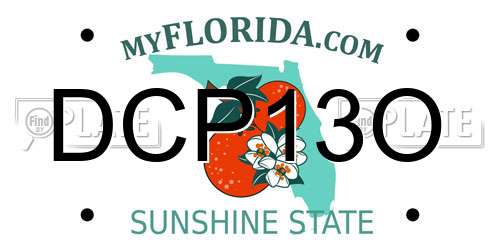 DCP13O Florida License Plate