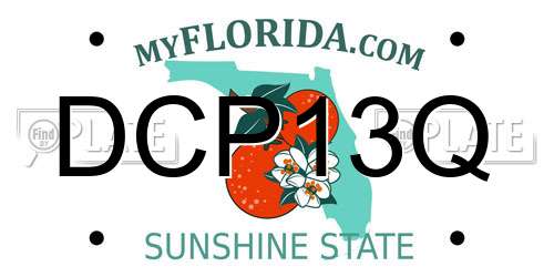 DCP13Q Florida License Plate