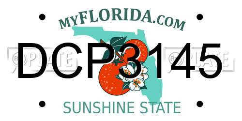 DCP3145 Florida License Plate