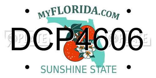 DCP4606 Florida License Plate