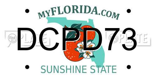 DCPD73 Florida License Plate