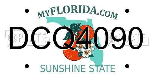 DCQ4090 Florida License Plate