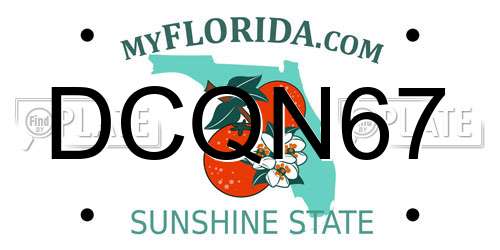 DCQN67 Florida License Plate