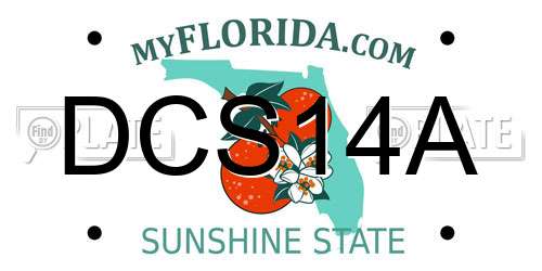 DCS14A Florida License Plate