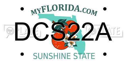 DCS22A Florida License Plate