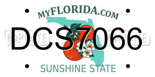 DCS7066 Florida License Plate