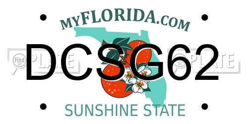 DCSG62 Florida License Plate