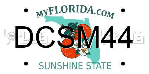 DCSM44 Florida License Plate