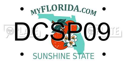DCSP09 Florida License Plate