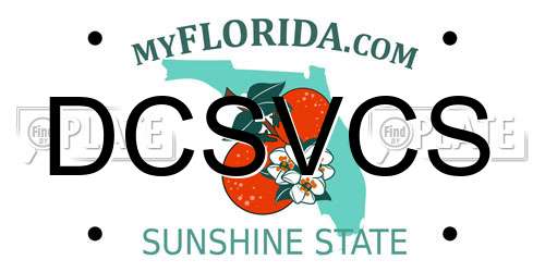 DCSVCS Florida License Plate