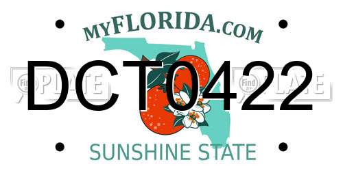 DCT0422 Florida License Plate
