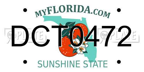 DCT0472 Florida License Plate