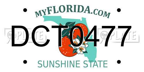 DCT0477 Florida License Plate
