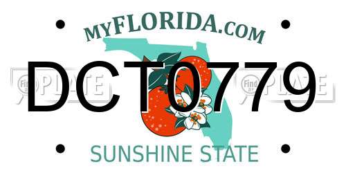 DCT0779 Florida License Plate