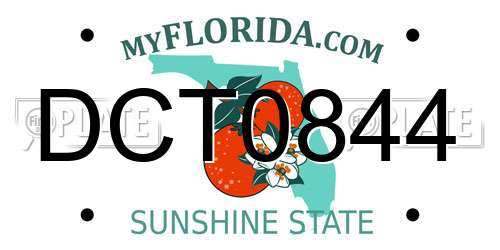 DCT0844 Florida License Plate