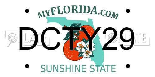 DCTY29 Florida License Plate