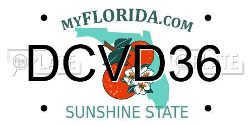 DCVD36 Florida License Plate