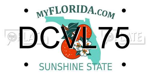 DCVL75 Florida License Plate