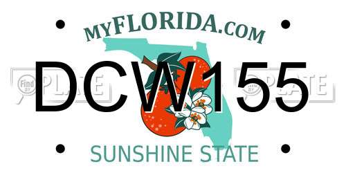 DCW155 Florida License Plate