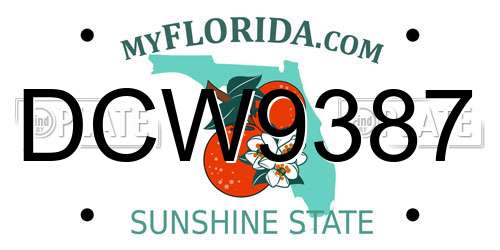 DCW9387 Florida License Plate