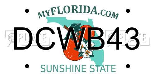 DCWB43 Florida License Plate